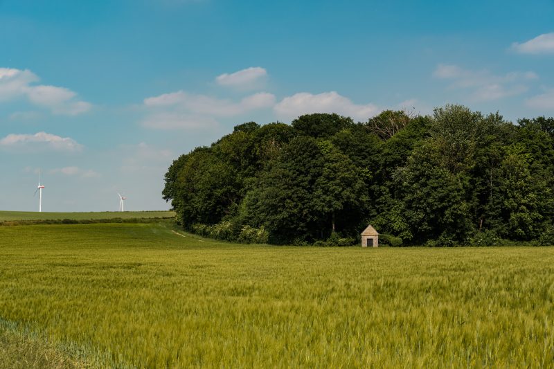 Diagnostic ERP terrain à vendre