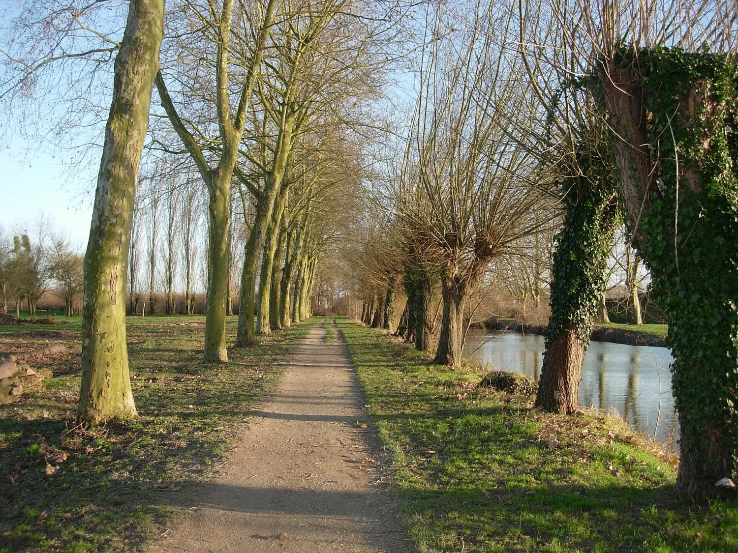 Vue de Romilly-sur-Seine (Aube) — état des risques et pollutions (ERP)