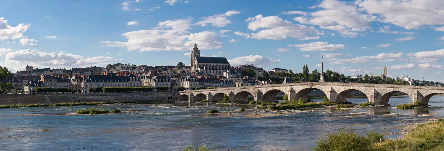 Vue de Blois (Loir-et-Cher) — état des risques et pollutions (ERP)