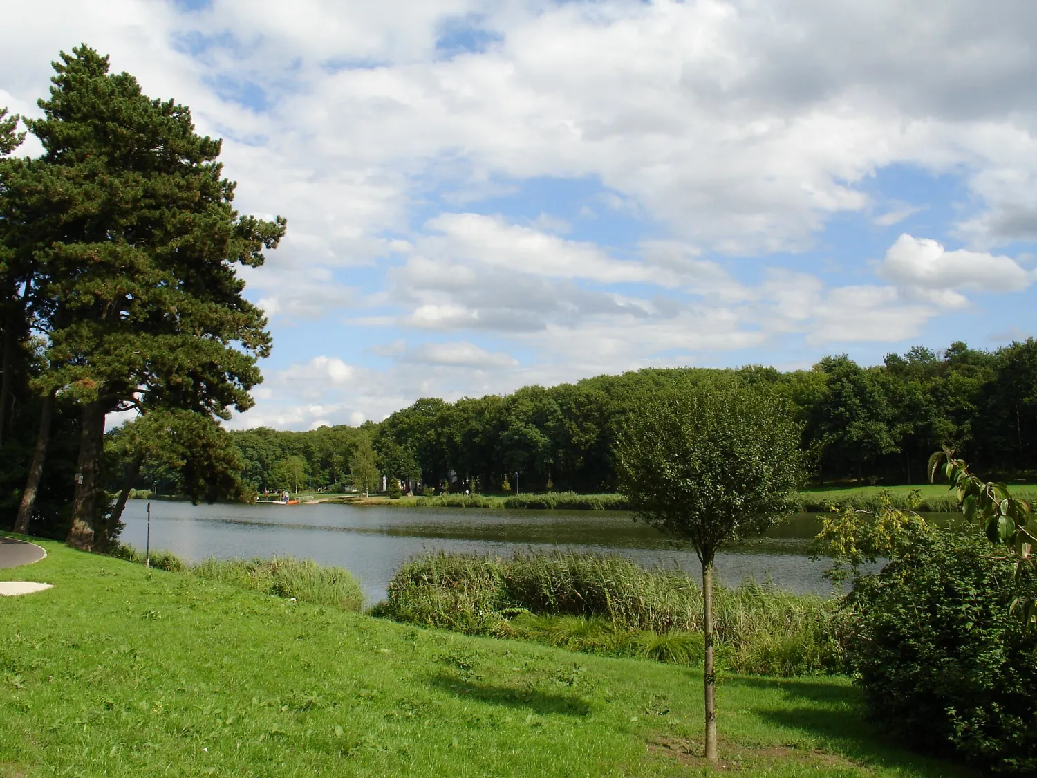 Vue de Creutzwald (Moselle) — état des risques et pollutions (ERP)