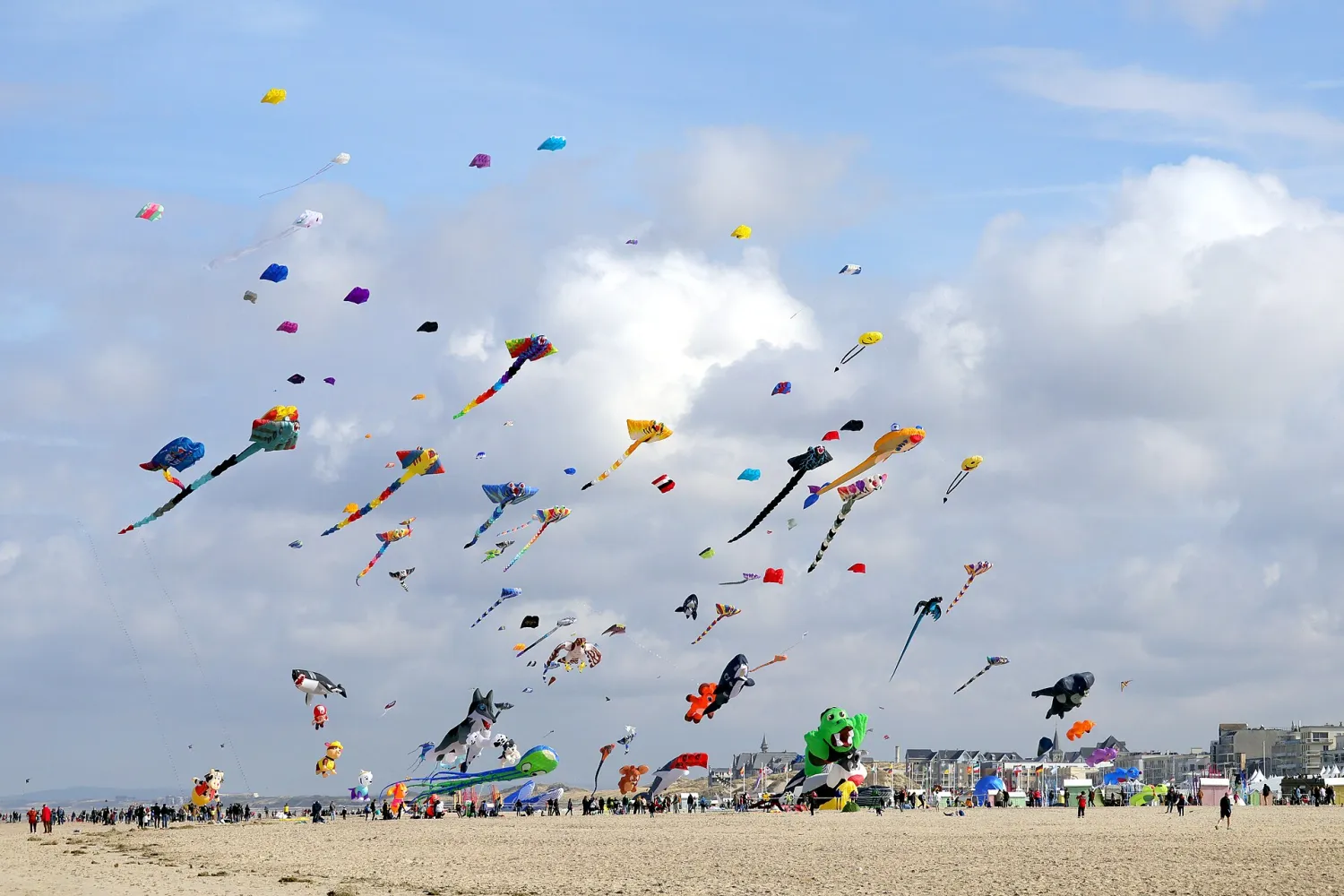 Vue de Berck (Pas-de-Calais) — état des risques et pollutions (ERP)