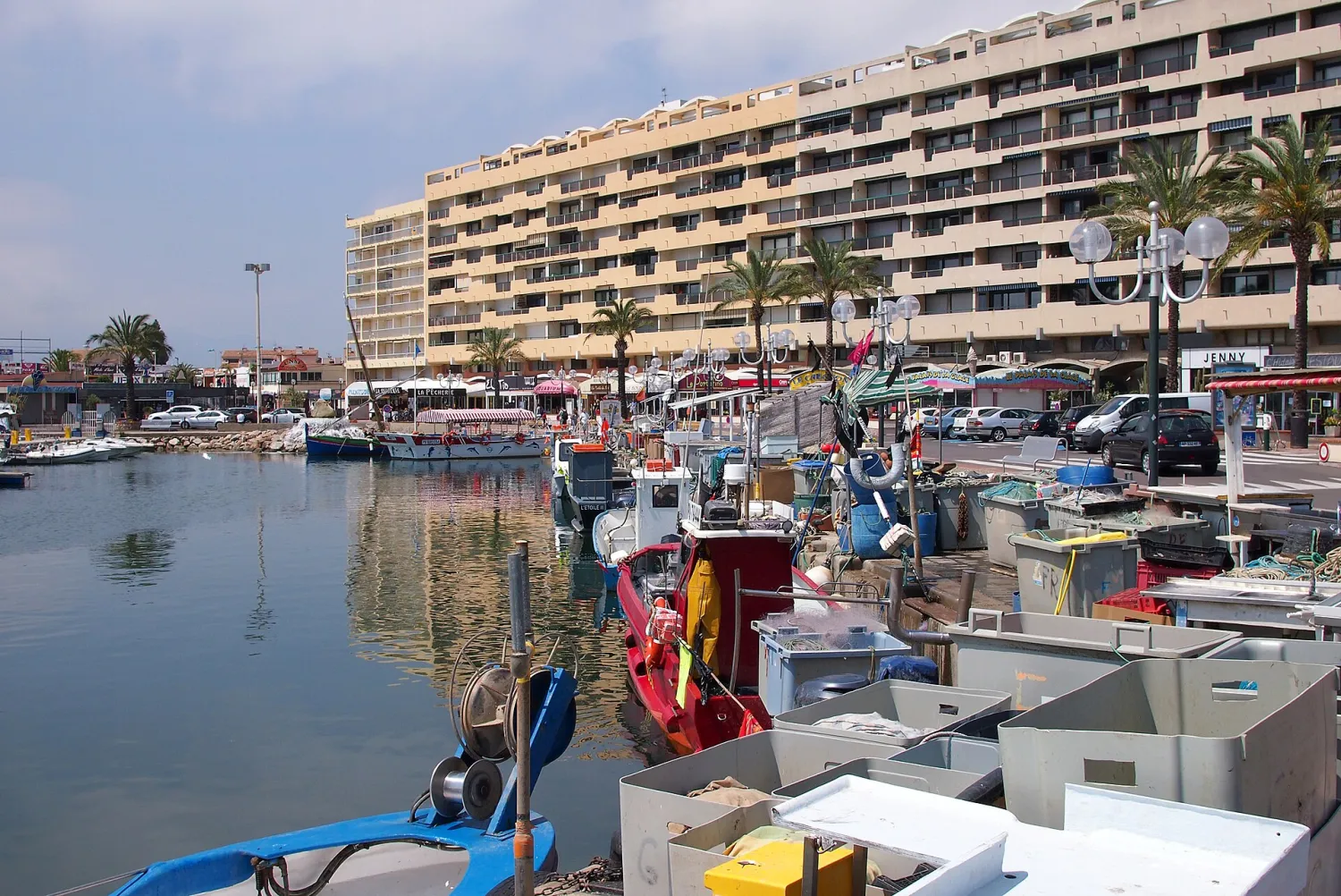 Vue de Saint-Cyprien (Pyrénées-Orientales) - état des risques et pollutions (ERP)