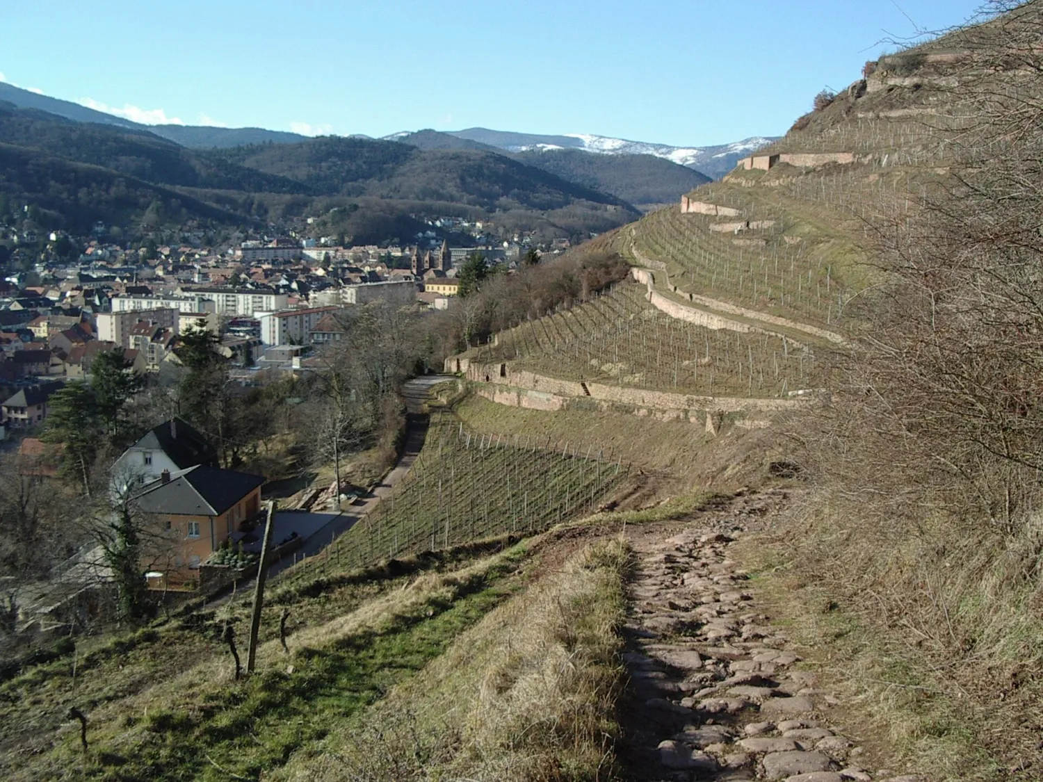 Vue de Guebwiller (Haut-Rhin) — état des risques et pollutions (ERP)