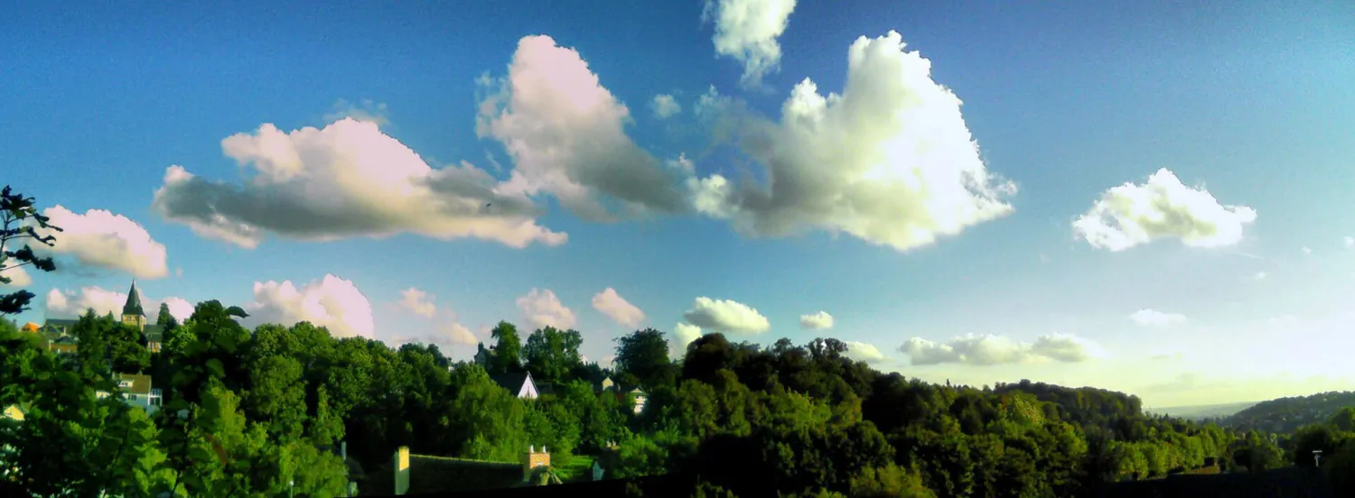 Vue de Bois-Guillaume (Seine-Maritime) — état des risques et pollutions (ERP)
