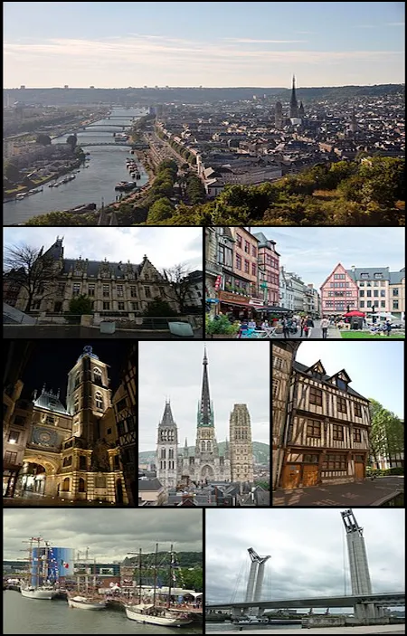Vue de Rouen (Seine-Maritime) — état des risques et pollutions (ERP)