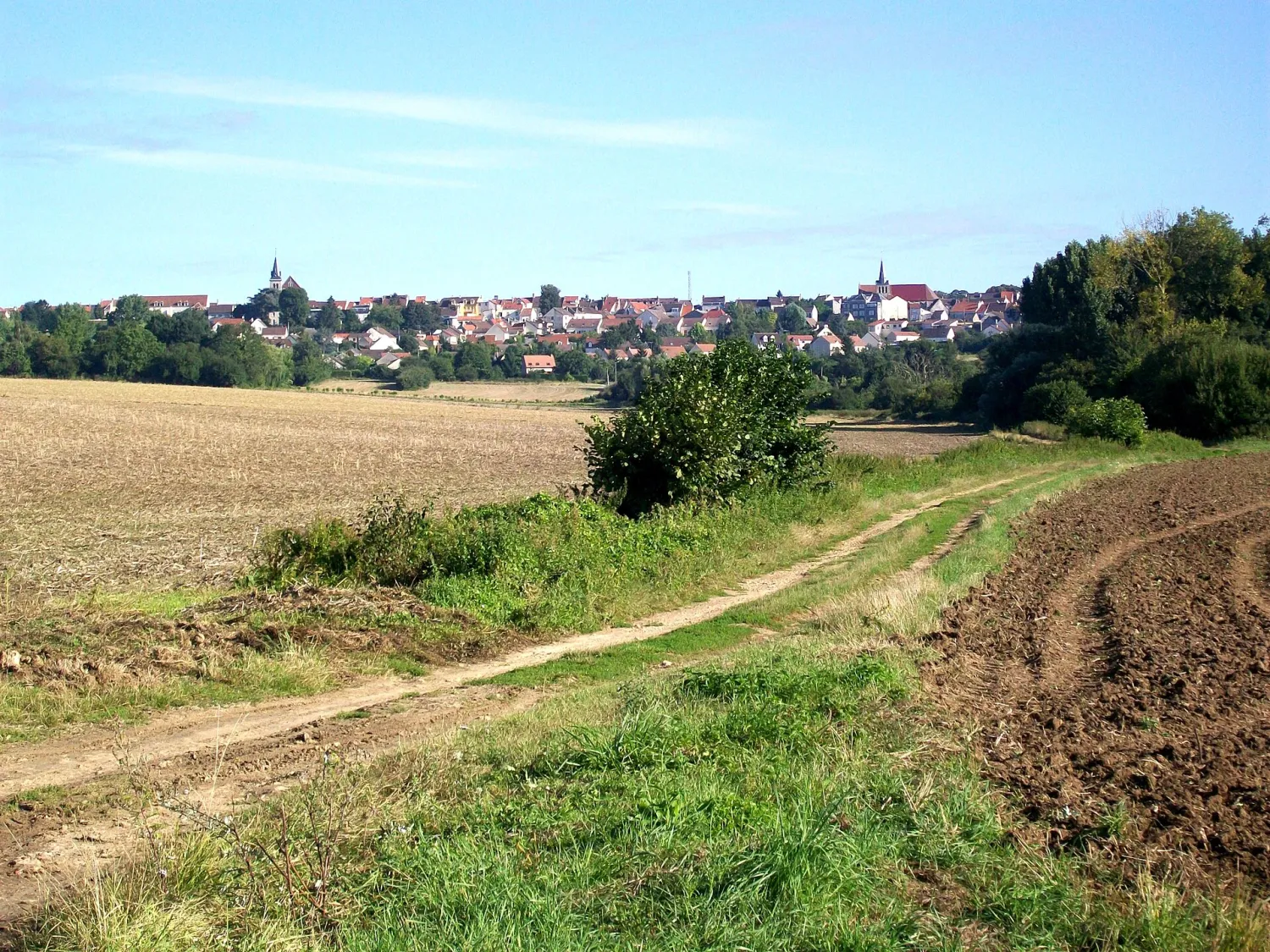 Vue de Dammartin-en-Goële (Seine-et-Marne) — état des risques et pollutions (ERP)