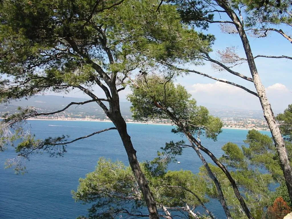 Vue de Saint-Cyr-sur-Mer (Var) — état des risques et pollutions (ERP)
