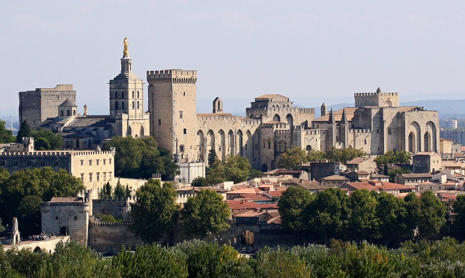 Vue de Avignon — Vaucluse (84), état des risques (ERP)