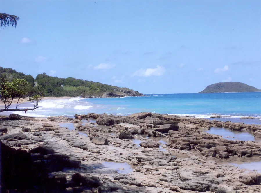 Vue de Sainte-Rose (Guadeloupe) - état des risques et pollutions (ERP)