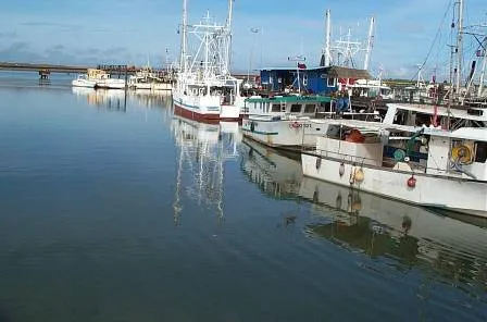 Vue de Matoury (Guyane) — état des risques et pollutions (ERP)