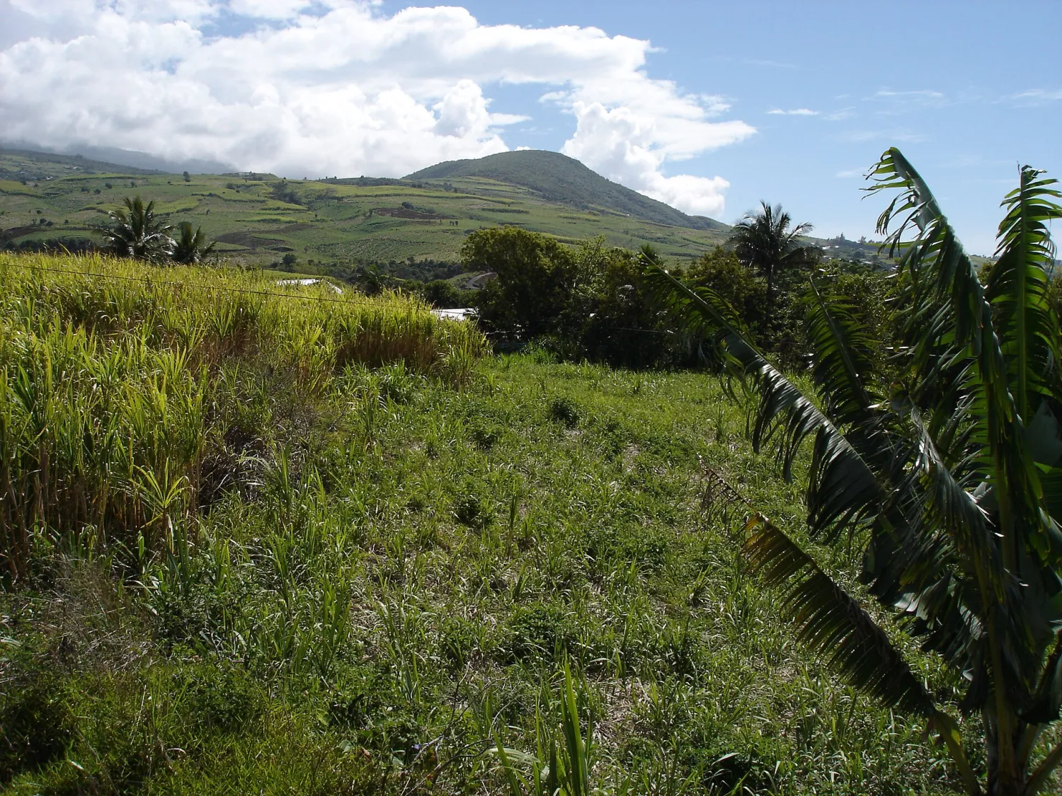 Vue de Saint-Joseph (La Réunion) - état des risques et pollutions (ERP)
