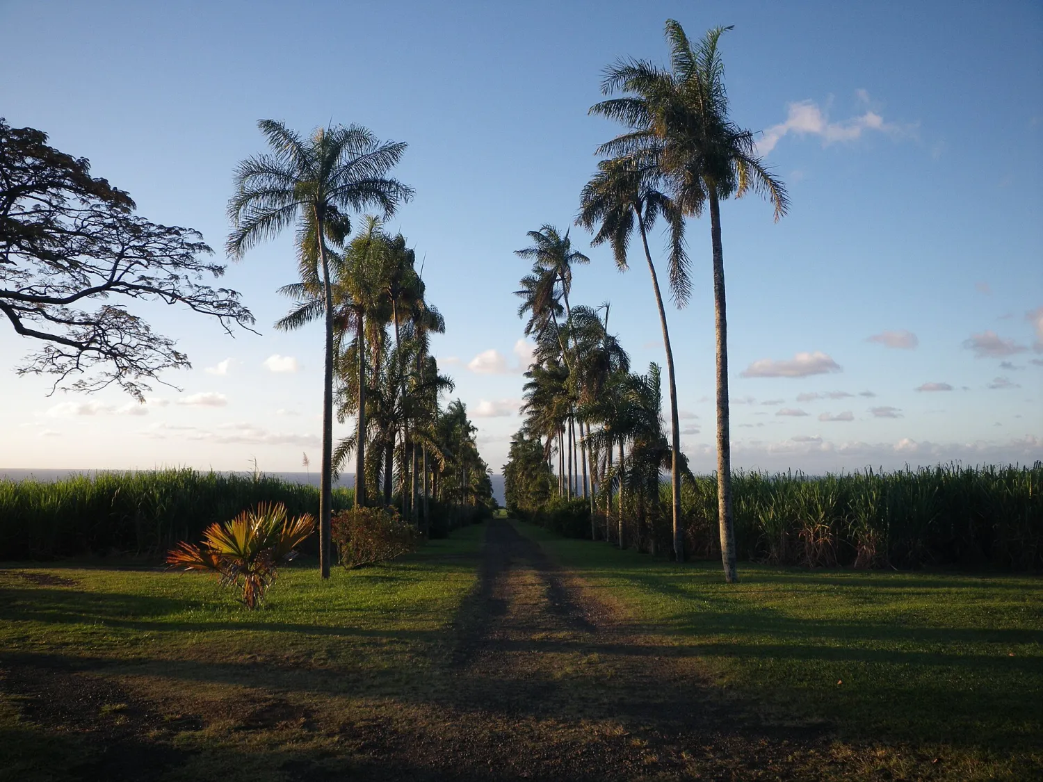 Vue de Sainte-Suzanne (La Réunion) - état des risques et pollutions (ERP)